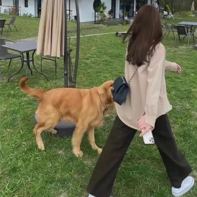 失忆造马王